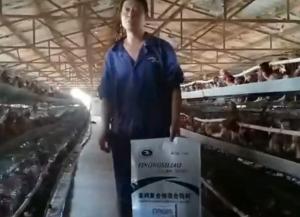 原保軍在河南安陽為益農(nóng)蛋雞預(yù)混料代言！